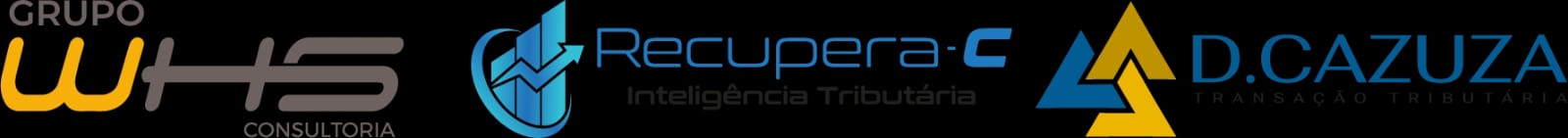 Logo do parceiro